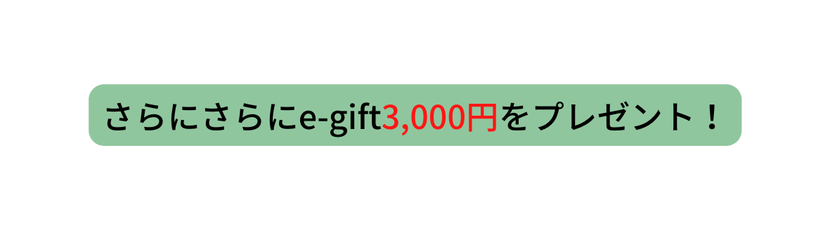 さらにさらにe gift3 000円をプレゼント